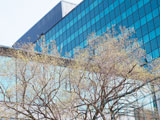 企業誘致